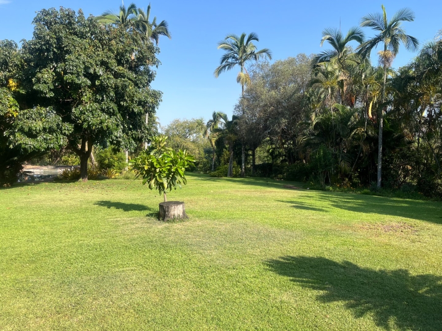 Commercial Property for Sale in Tzaneen Rural Limpopo