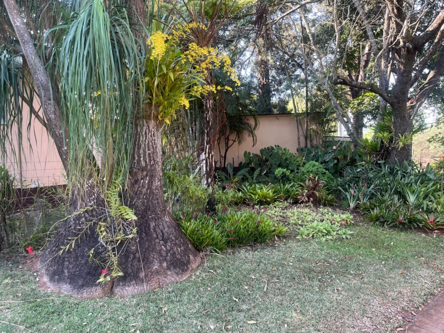 Commercial Property for Sale in Tzaneen Rural Limpopo