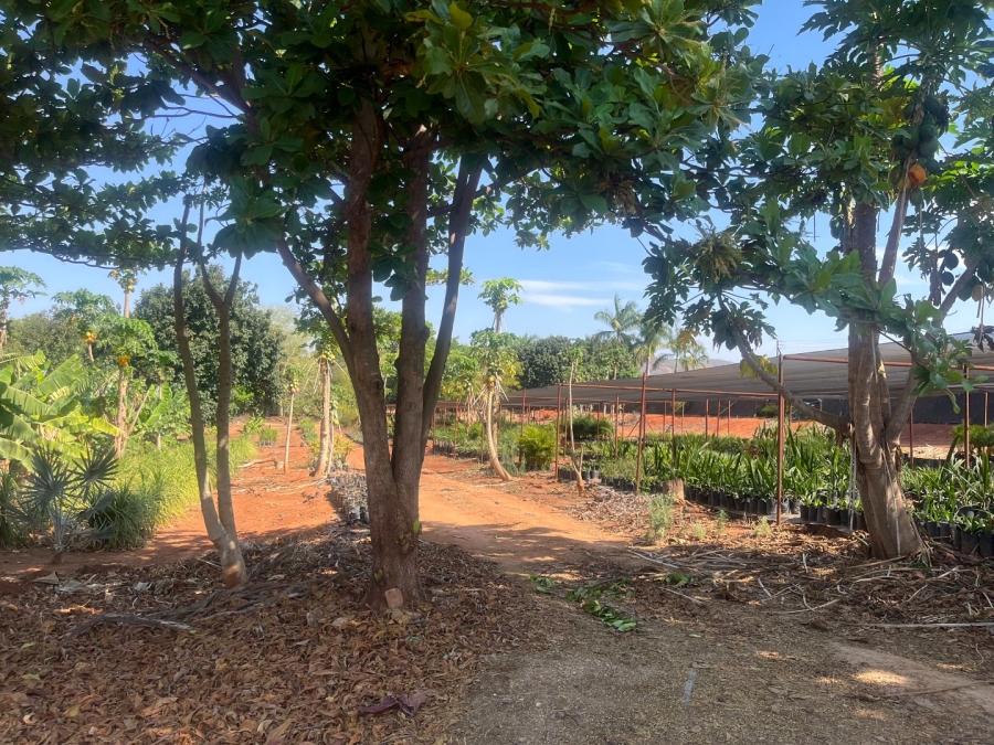 Commercial Property for Sale in Tzaneen Rural Limpopo