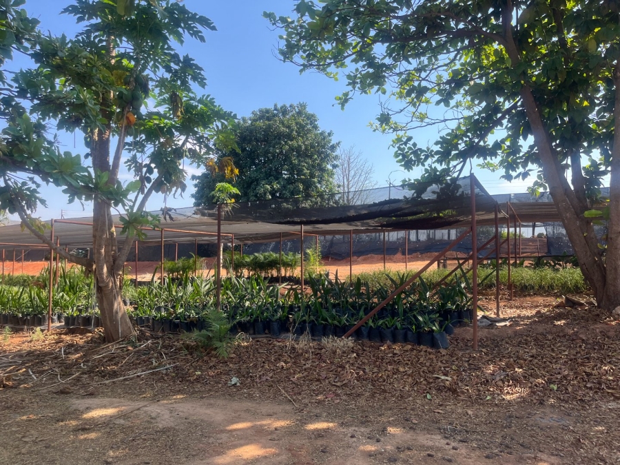 Commercial Property for Sale in Tzaneen Rural Limpopo