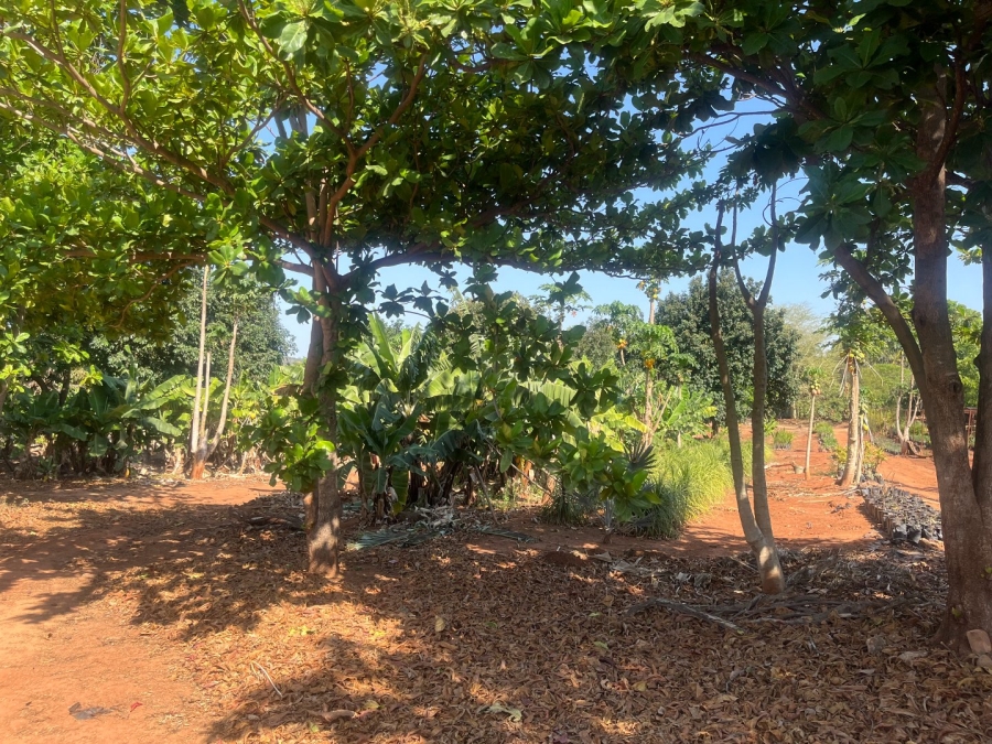Commercial Property for Sale in Tzaneen Rural Limpopo