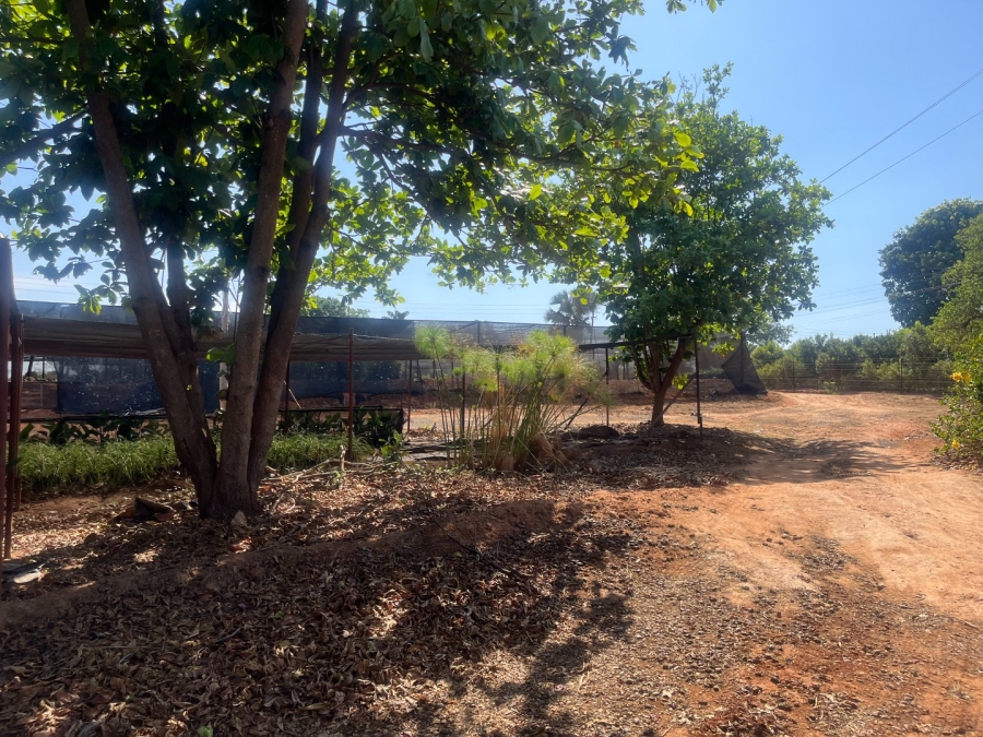 Commercial Property for Sale in Tzaneen Rural Limpopo