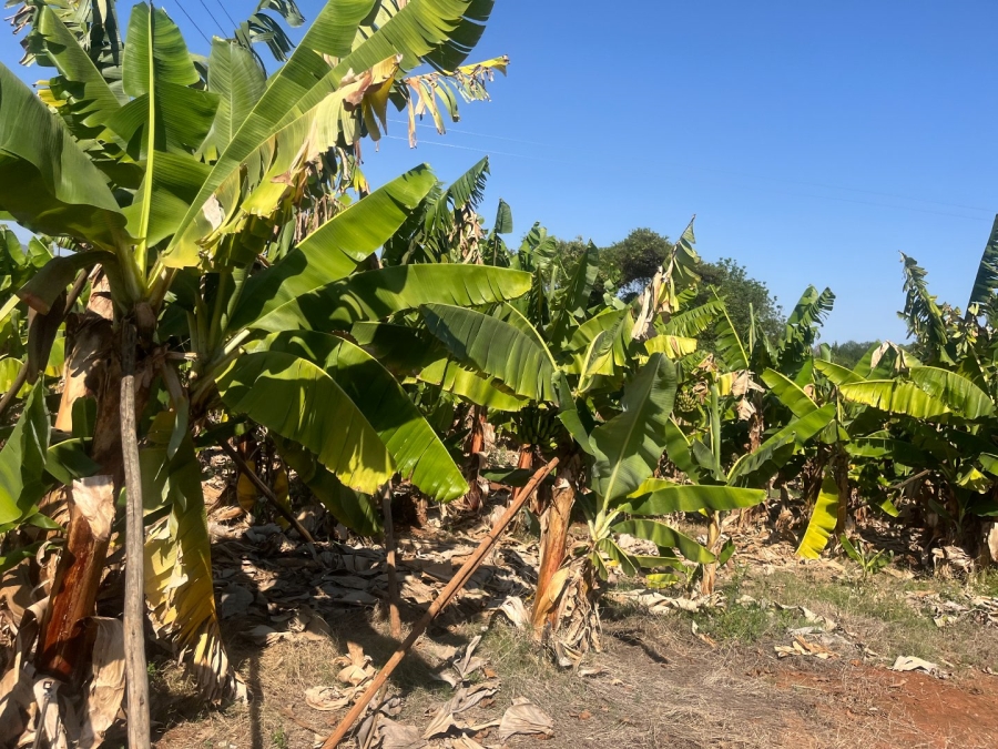 Commercial Property for Sale in Tzaneen Rural Limpopo