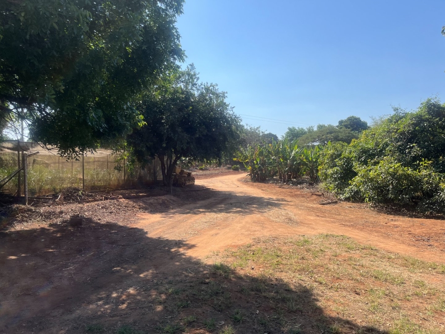 Commercial Property for Sale in Tzaneen Rural Limpopo