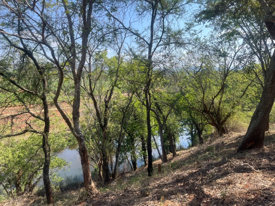 Commercial Property for Sale in Tzaneen Rural Limpopo