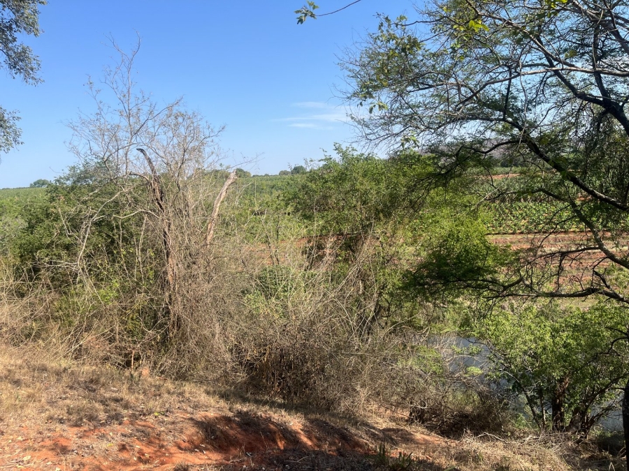 Commercial Property for Sale in Tzaneen Rural Limpopo