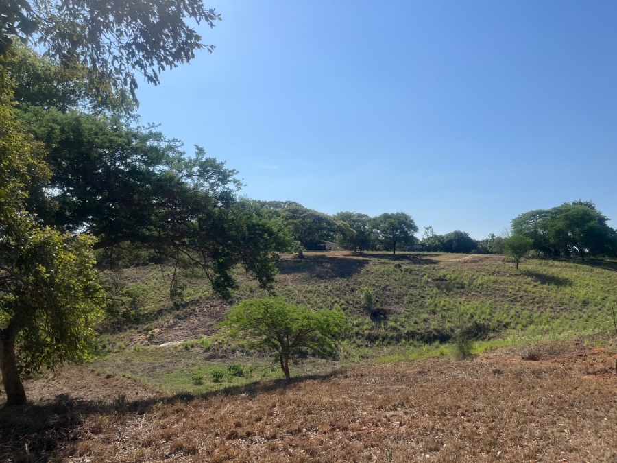 Commercial Property for Sale in Tzaneen Rural Limpopo