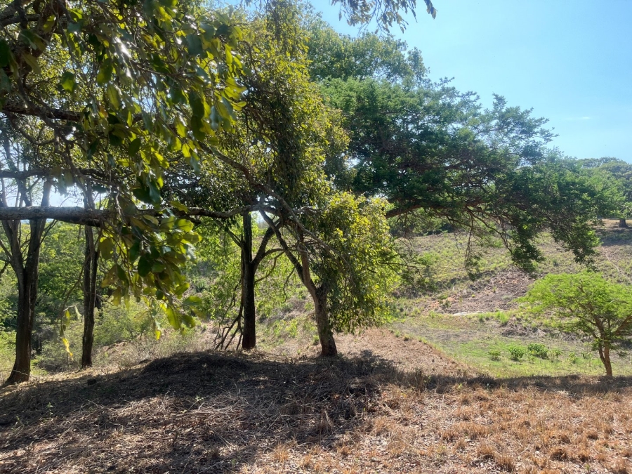 Commercial Property for Sale in Tzaneen Rural Limpopo