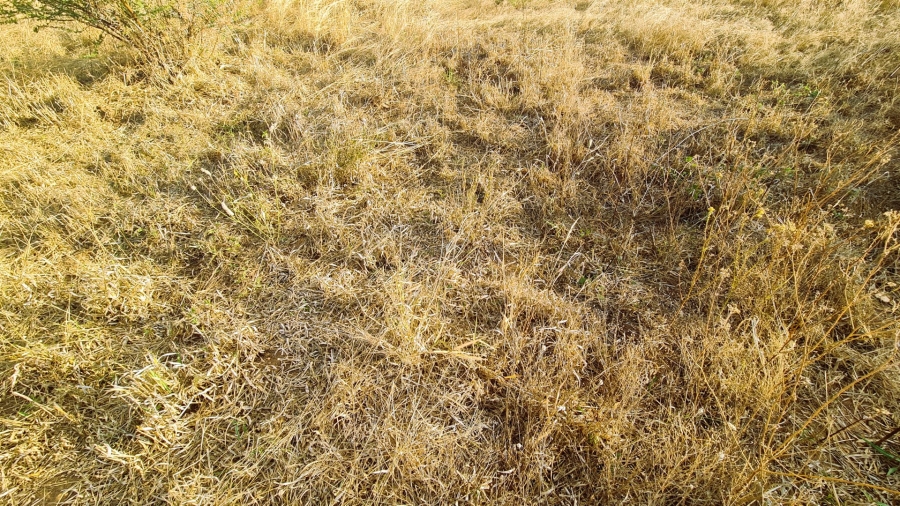 Commercial Property for Sale in Casa Acacia Limpopo