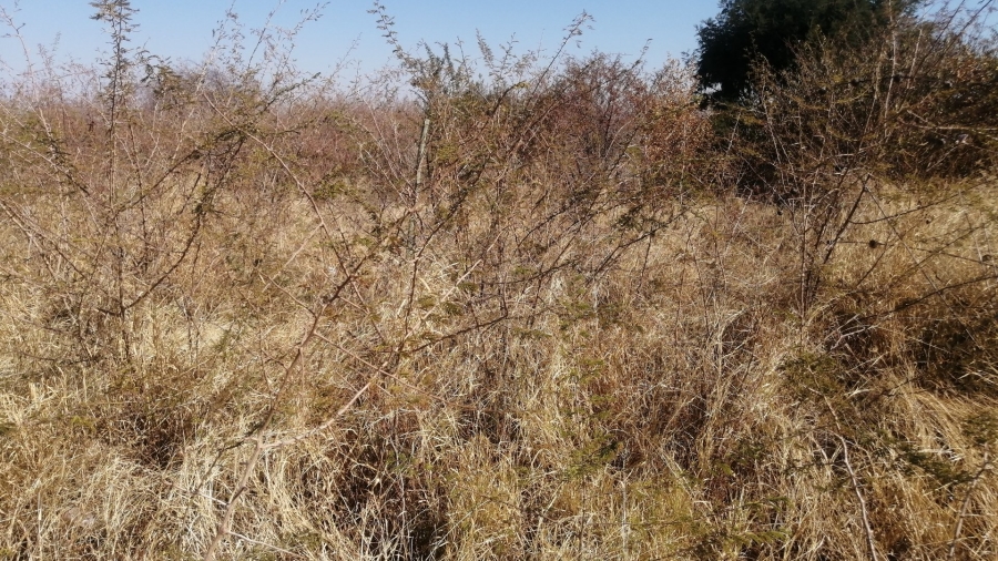 Commercial Property for Sale in Lebowakgomo Zone P Limpopo