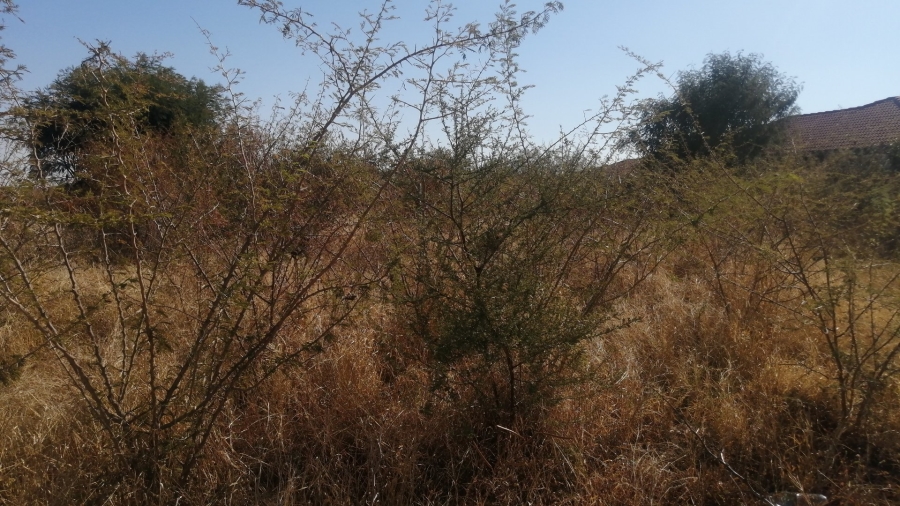 Commercial Property for Sale in Lebowakgomo Zone P Limpopo