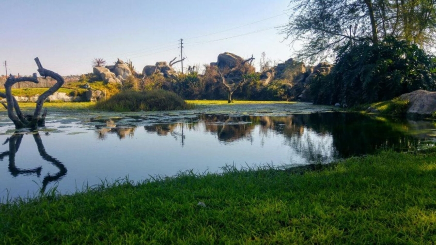 Commercial Property for Sale in Polokwane Ext 41 Limpopo