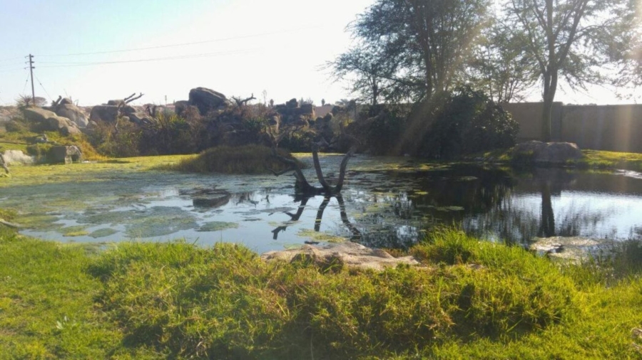 Commercial Property for Sale in Polokwane Ext 41 Limpopo