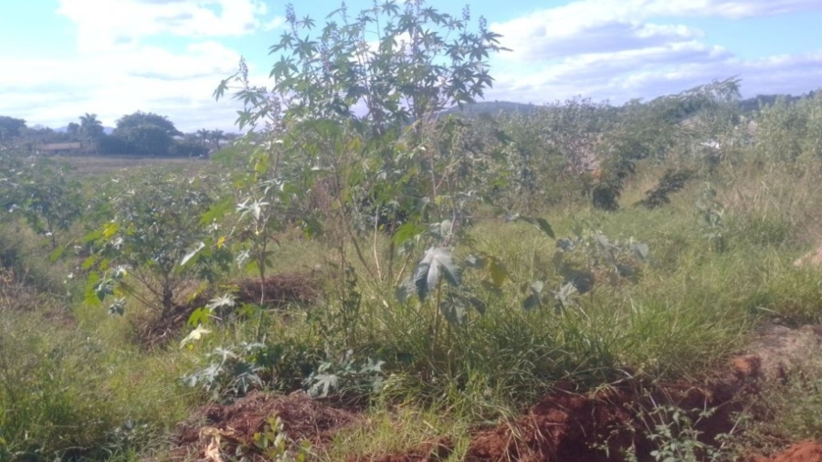Commercial Property for Sale in Aquapark Limpopo