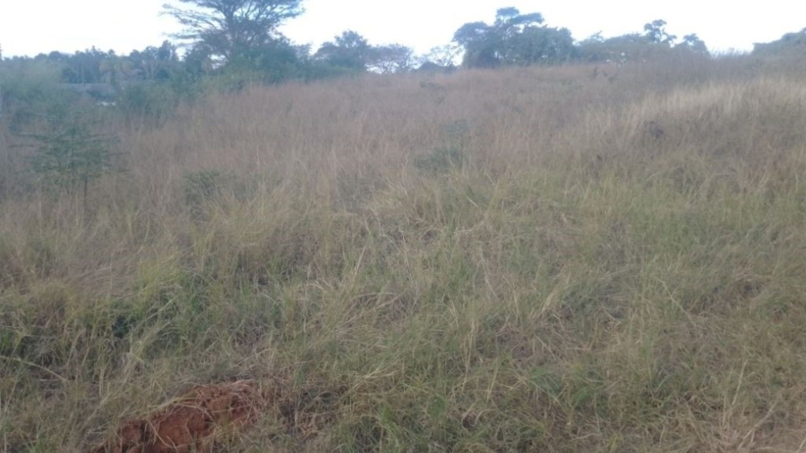 Commercial Property for Sale in Pompaglana A H Limpopo