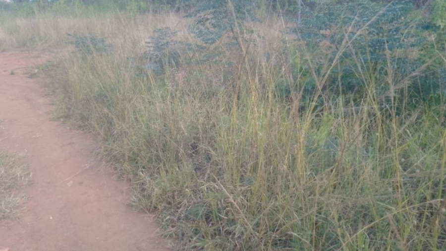 Commercial Property for Sale in Pompaglana A H Limpopo