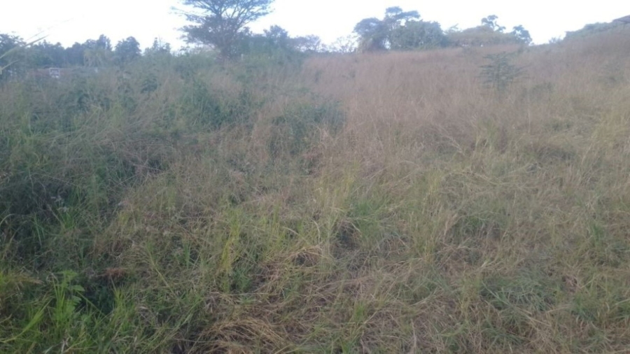 Commercial Property for Sale in Pompaglana A H Limpopo