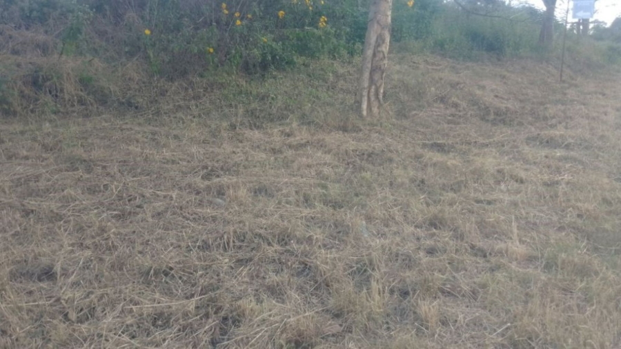 Commercial Property for Sale in Pompaglana A H Limpopo