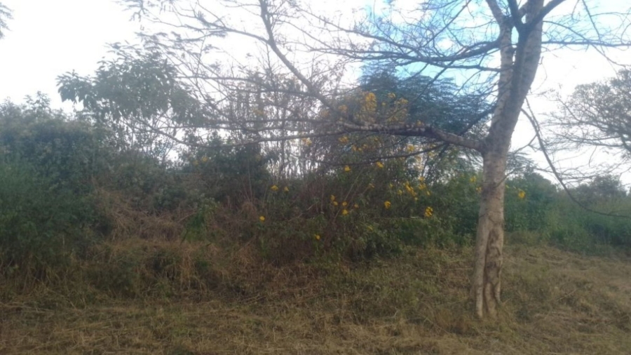 Commercial Property for Sale in Pompaglana A H Limpopo