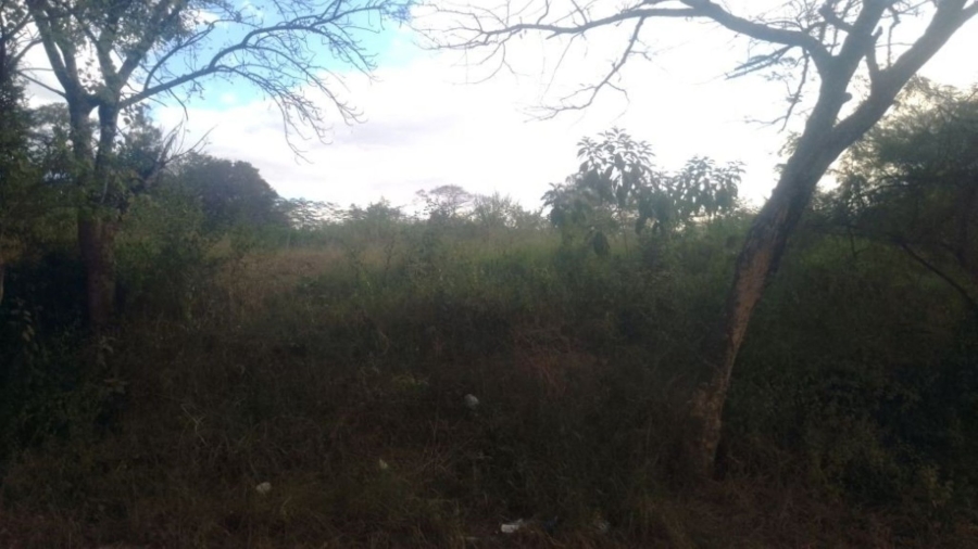 Commercial Property for Sale in Pompaglana A H Limpopo