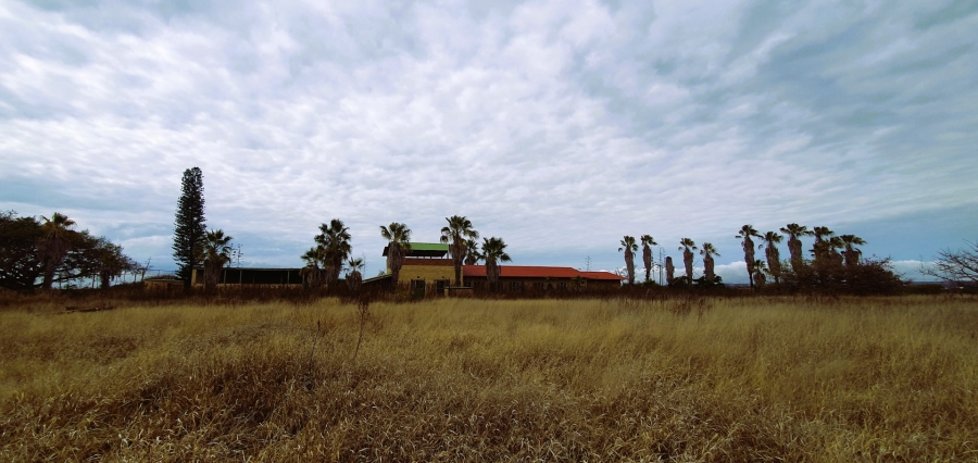 Commercial Property for Sale in Palm A H Limpopo
