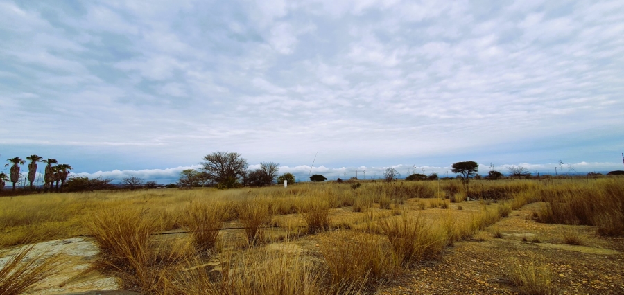 Commercial Property for Sale in Palm A H Limpopo