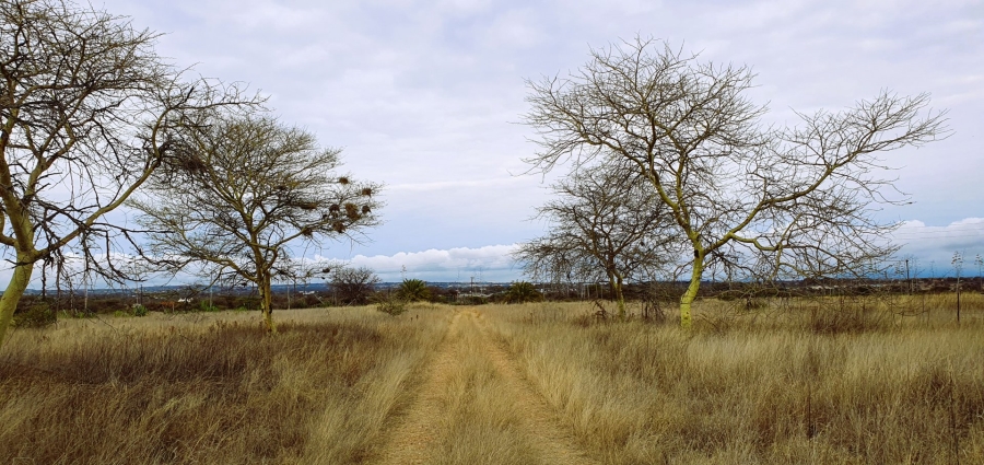 Commercial Property for Sale in Palm A H Limpopo