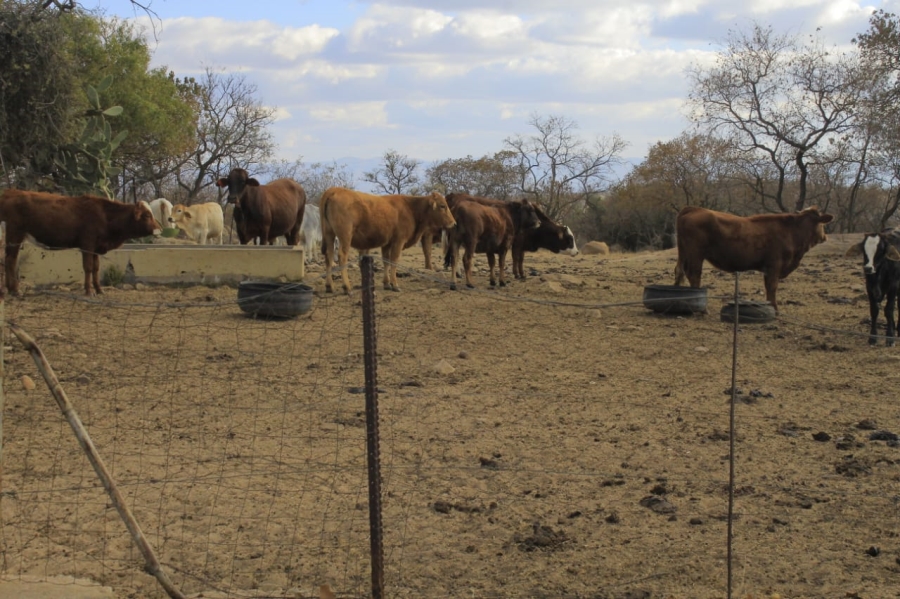 Commercial Property for Sale in Polokwane Rural Limpopo