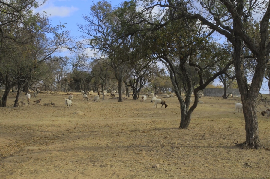 Commercial Property for Sale in Polokwane Rural Limpopo