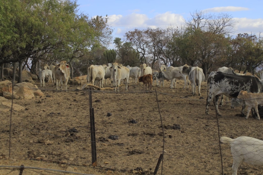 Commercial Property for Sale in Polokwane Rural Limpopo