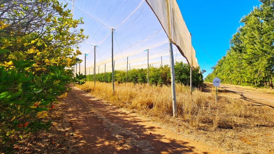 Commercial Property for Sale in Louis Trichardt Limpopo