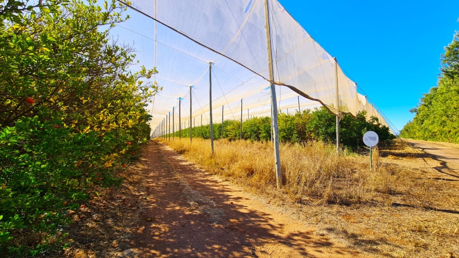 Commercial Property for Sale in Louis Trichardt Limpopo