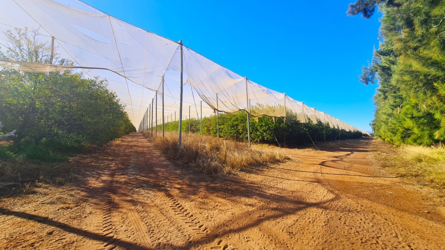 Commercial Property for Sale in Louis Trichardt Limpopo