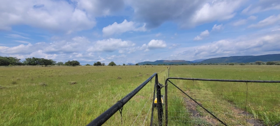 Commercial Property for Sale in Alma Limpopo