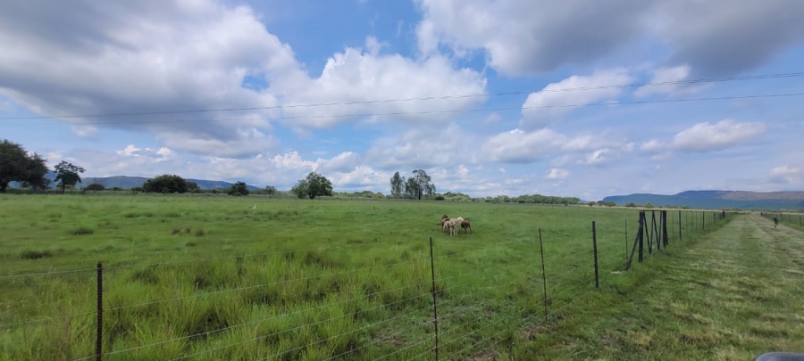 Commercial Property for Sale in Alma Limpopo