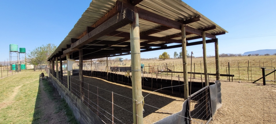 Commercial Property for Sale in Alma Limpopo