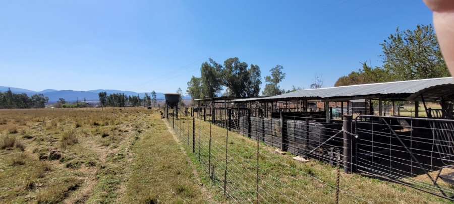 Commercial Property for Sale in Alma Limpopo