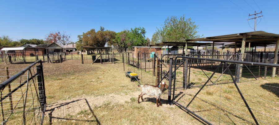 Commercial Property for Sale in Alma Limpopo