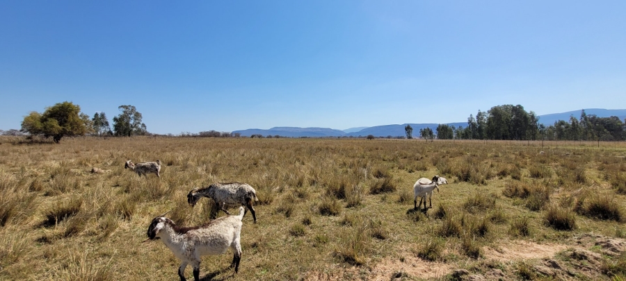 Commercial Property for Sale in Alma Limpopo