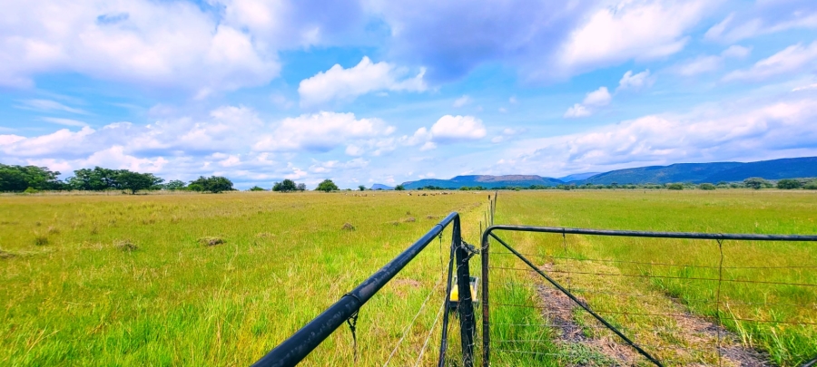 Commercial Property for Sale in Modimolle Limpopo