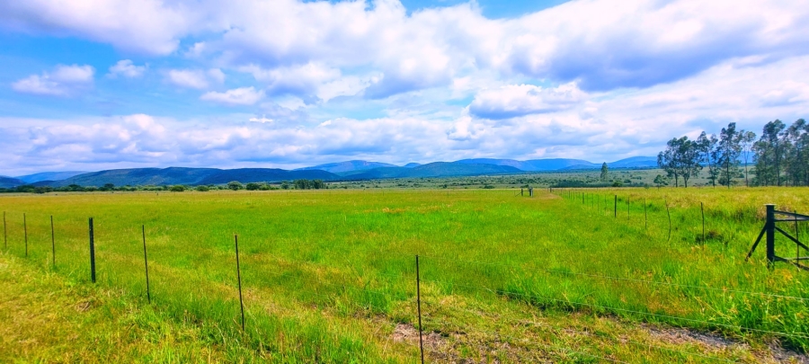 Commercial Property for Sale in Modimolle Limpopo