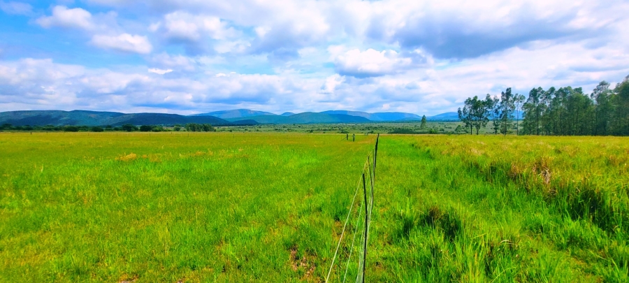 Commercial Property for Sale in Modimolle Limpopo