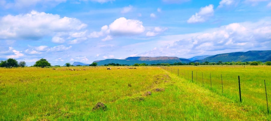Commercial Property for Sale in Modimolle Limpopo