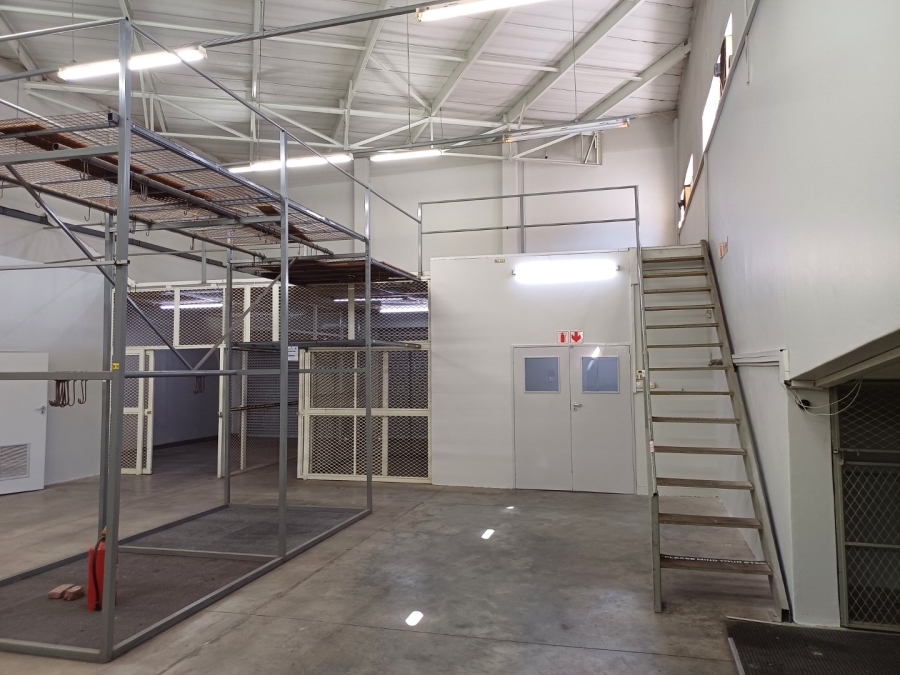 To Let commercial Property for Rent in Nirvana Ext 1 Limpopo