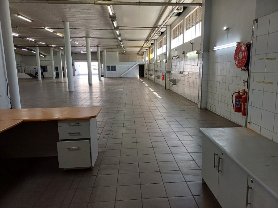 To Let commercial Property for Rent in Nirvana Ext 1 Limpopo