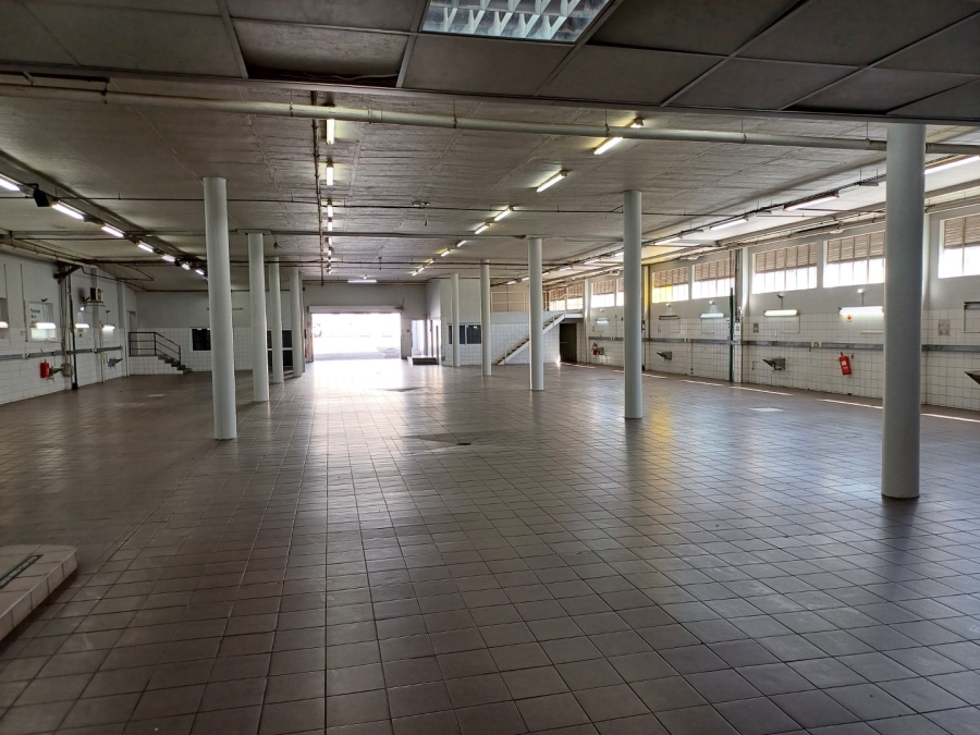 To Let commercial Property for Rent in Nirvana Ext 1 Limpopo