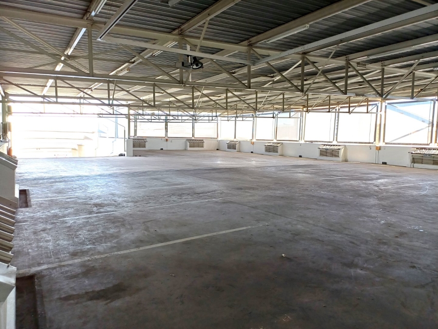 To Let commercial Property for Rent in Nirvana Ext 1 Limpopo