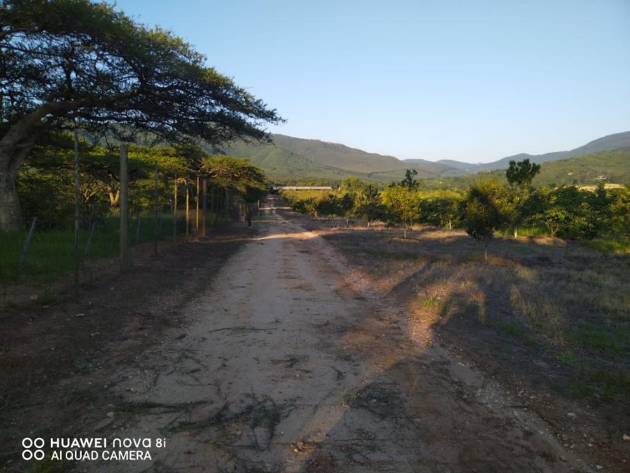 Commercial Property for Sale in Levubu Limpopo
