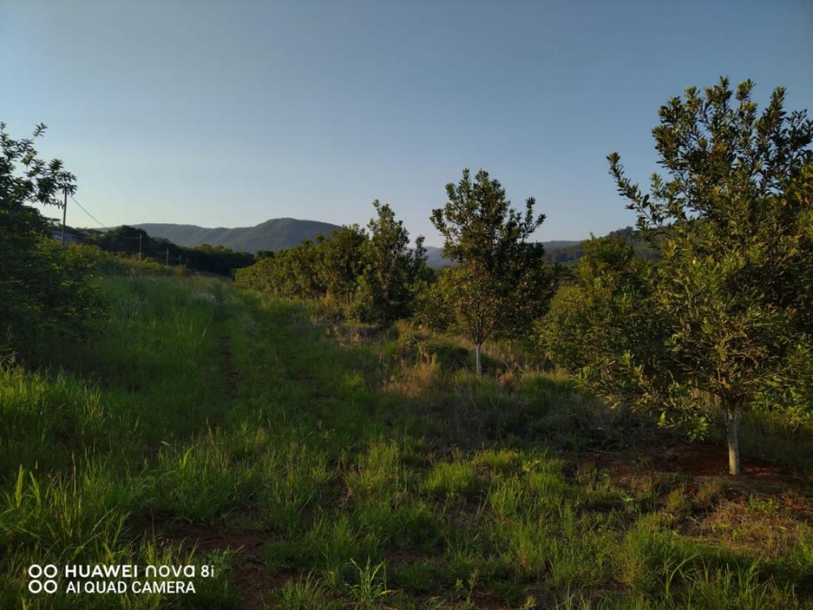 Commercial Property for Sale in Levubu Limpopo