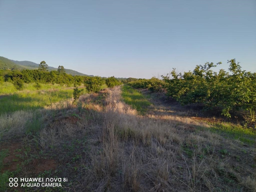 Commercial Property for Sale in Levubu Limpopo